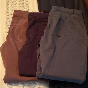 Maurices Women's Skinny Pants - Brown, Purple, Gray